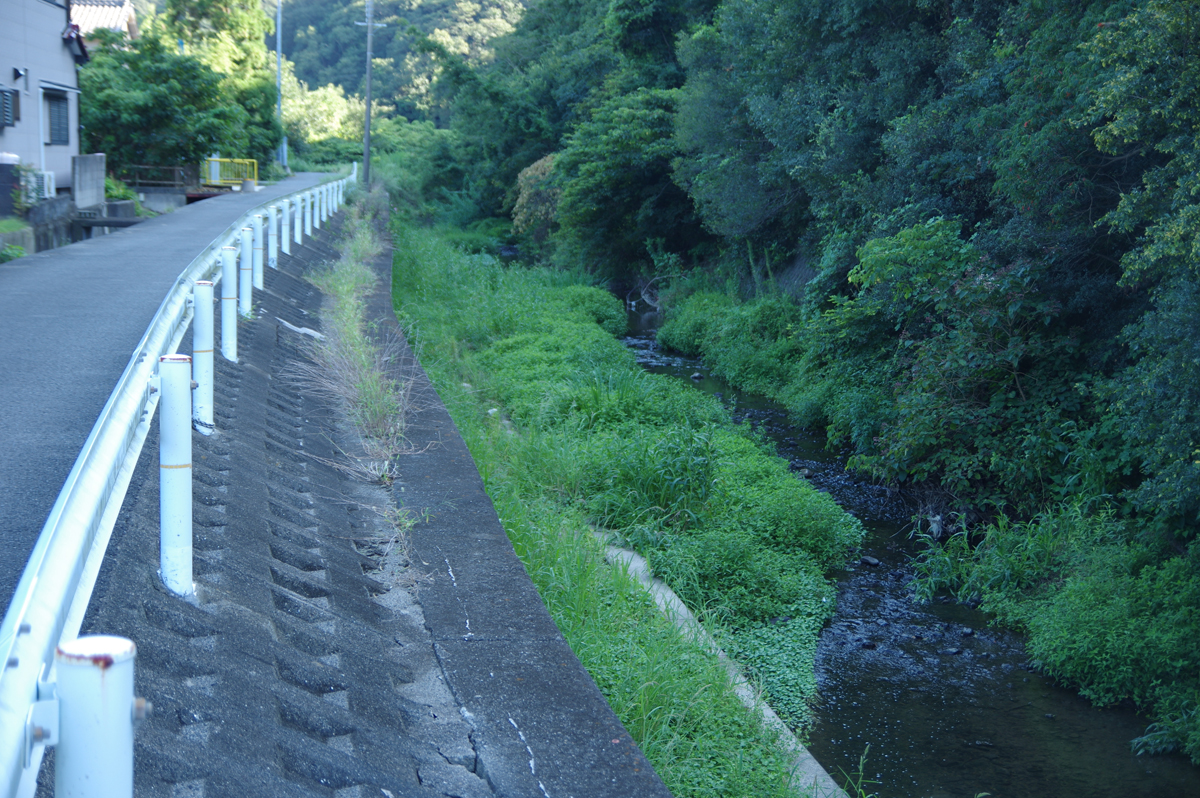 加太の川 紀州生物001 新規サイト007